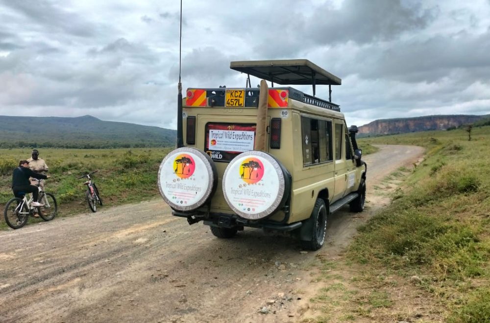 WhatsApp Image 2025-10-10 at 17.24.29