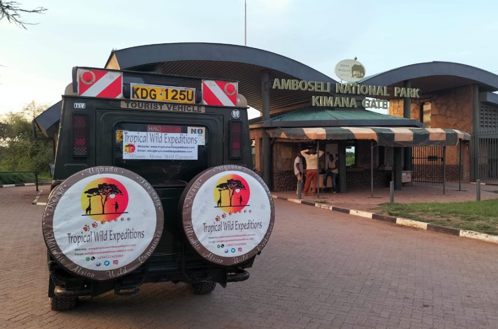 WhatsApp Image 2025-10-10 at 17.24.37 (2)